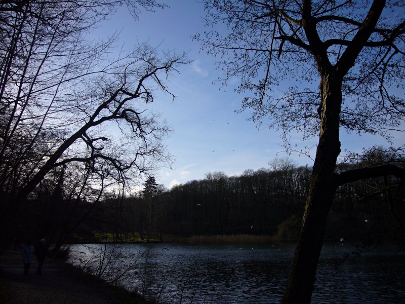 Malmaison